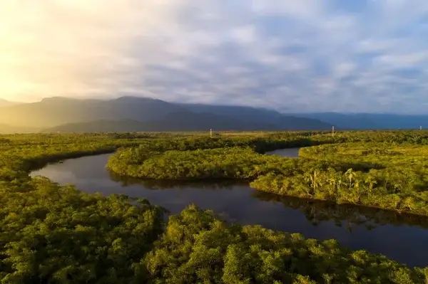 COP 30: o que foi discutido e por que o evento foi tão importante